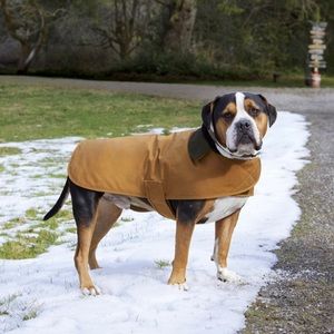 Carhartt dog coat